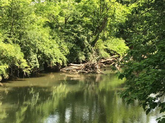 Three Creeks Metropark